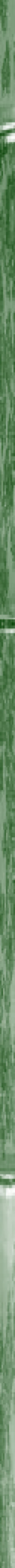 Side bar green bamboo