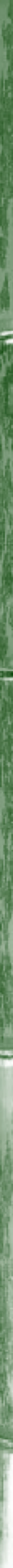Taikiken green bamboo side stripe