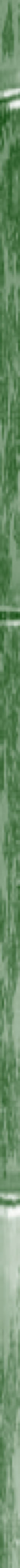 Taikiken green bamboo side stripe