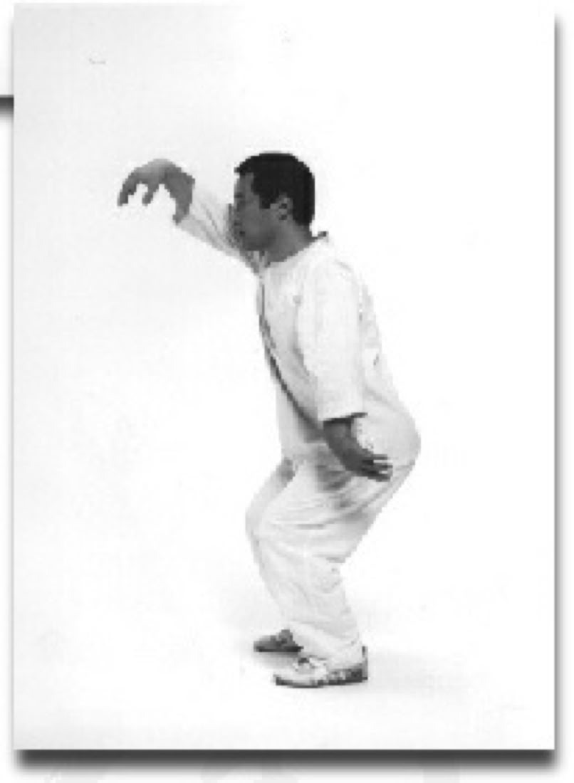 Sensei Yoshimichi Sato demonstrating Koken.