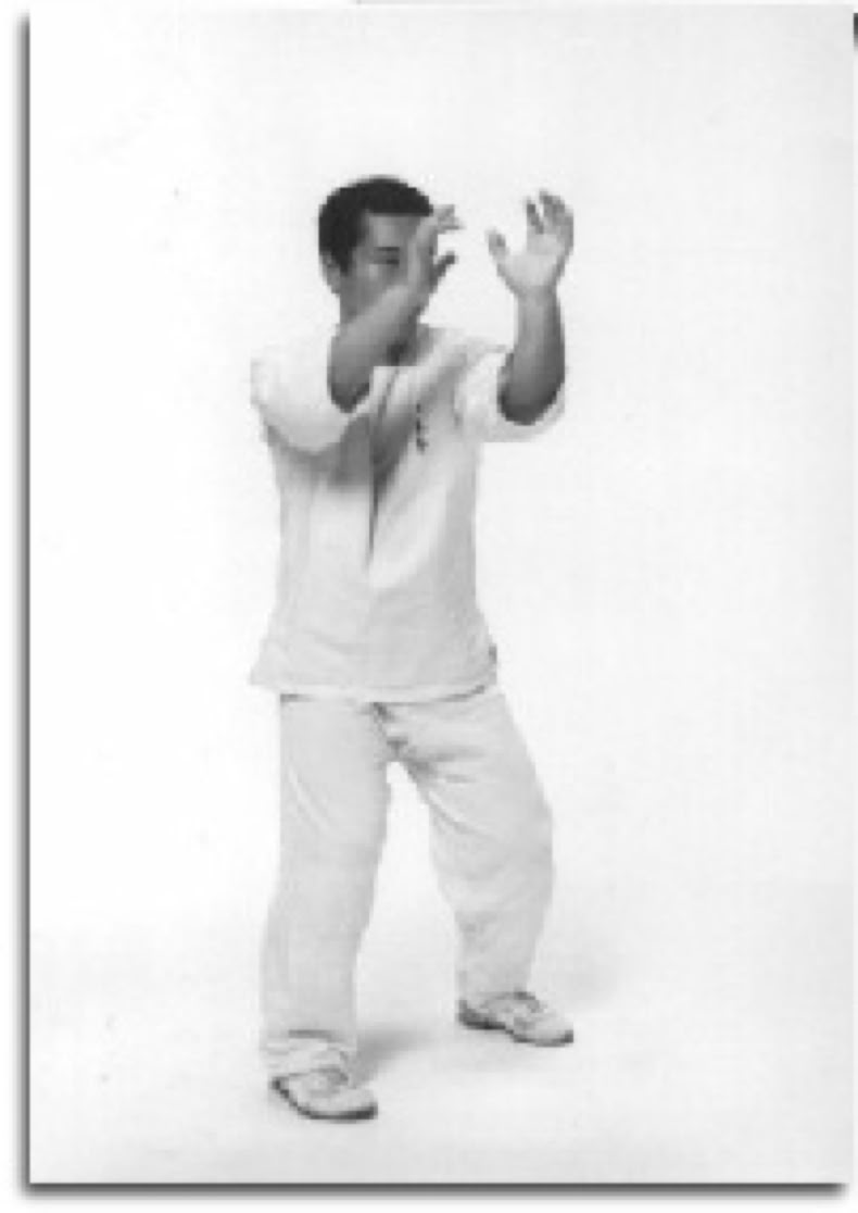 Sensei Yoshimichi Sato demonstrating Kamai