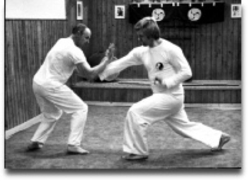 Rinus Schulz, Taikiken demo with Ton Heumen.
