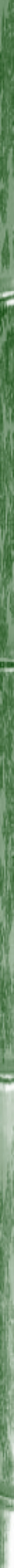 Taikiken green bamboo side stripe